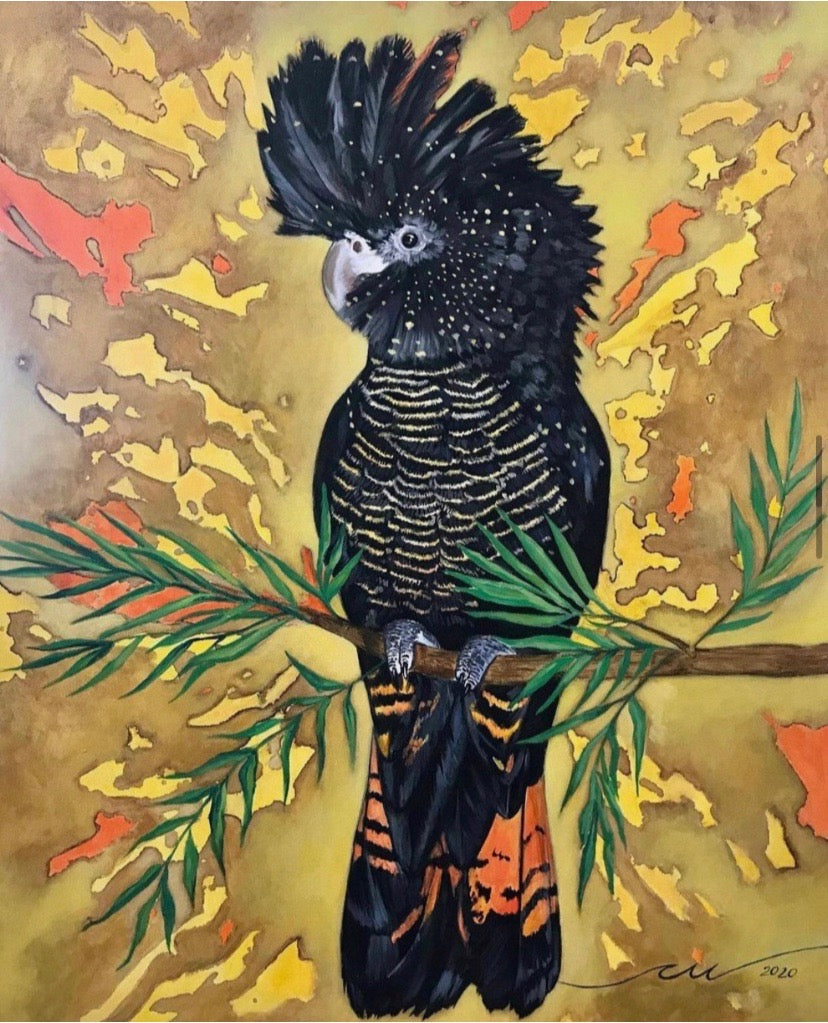 " Black Cockatoo "